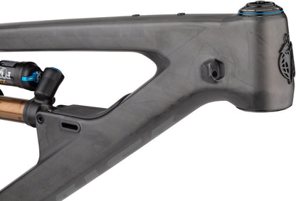Salsa Cassidy Carbon Frame - Carbon Raw Small