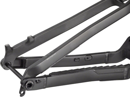 Salsa Cassidy Carbon Frame - Carbon Raw Small