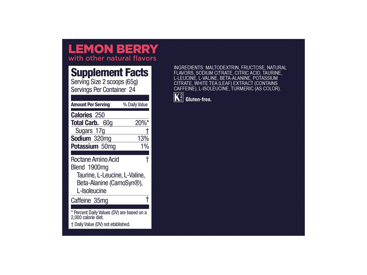 Supplement GU Roctane Drink Lemon Berry 24 Serving