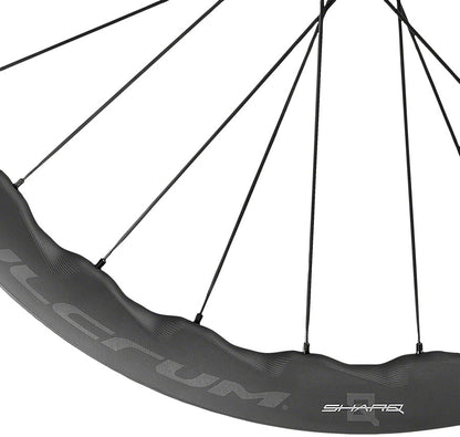 Fulcrum Sharq Wheelset - 700 12 x 100mm/142mm Center-Lock HG 11 2-Way Fit Carbon