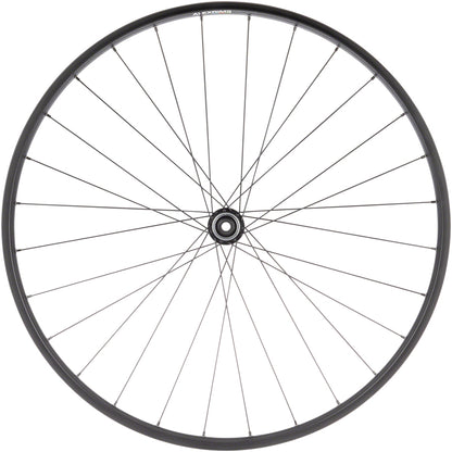 Quality Wheels Value Double Wall Series Disc Front Wheel - 700 12 x 100mm Center-Lock BLK